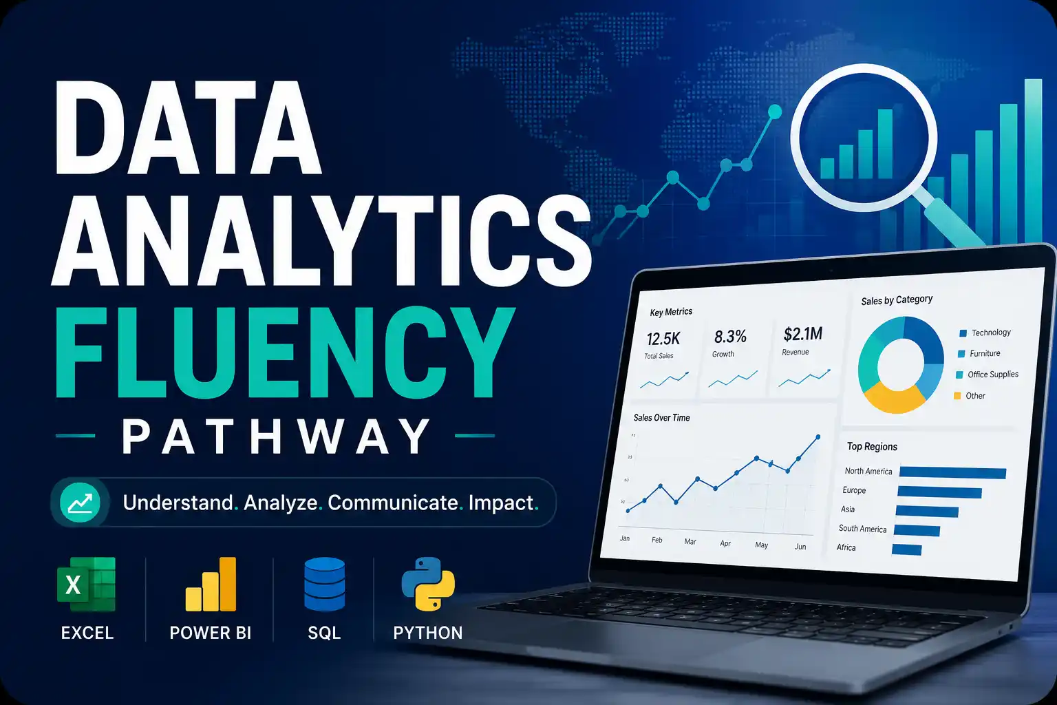 Data Analytics Fluency Pathway IBM Course
