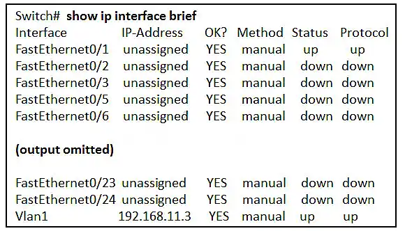 Show ip interface brief exhibit