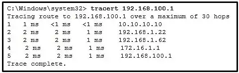 Ping output exhibit