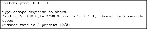 Ping output
