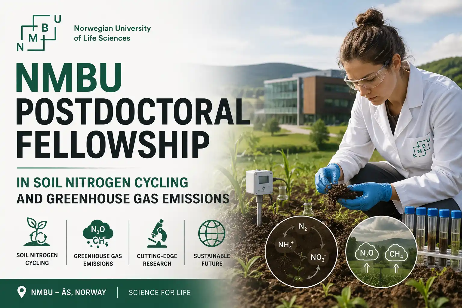 NMBU Postdoctoral Fellowship - Soil Nitrogen Cycling and Greenhouse Gas Emissions