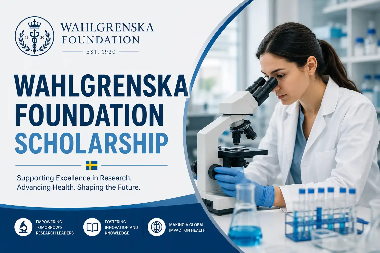 Wahlgrenska Foundation Scholarship - Postdoctoral Fellowship